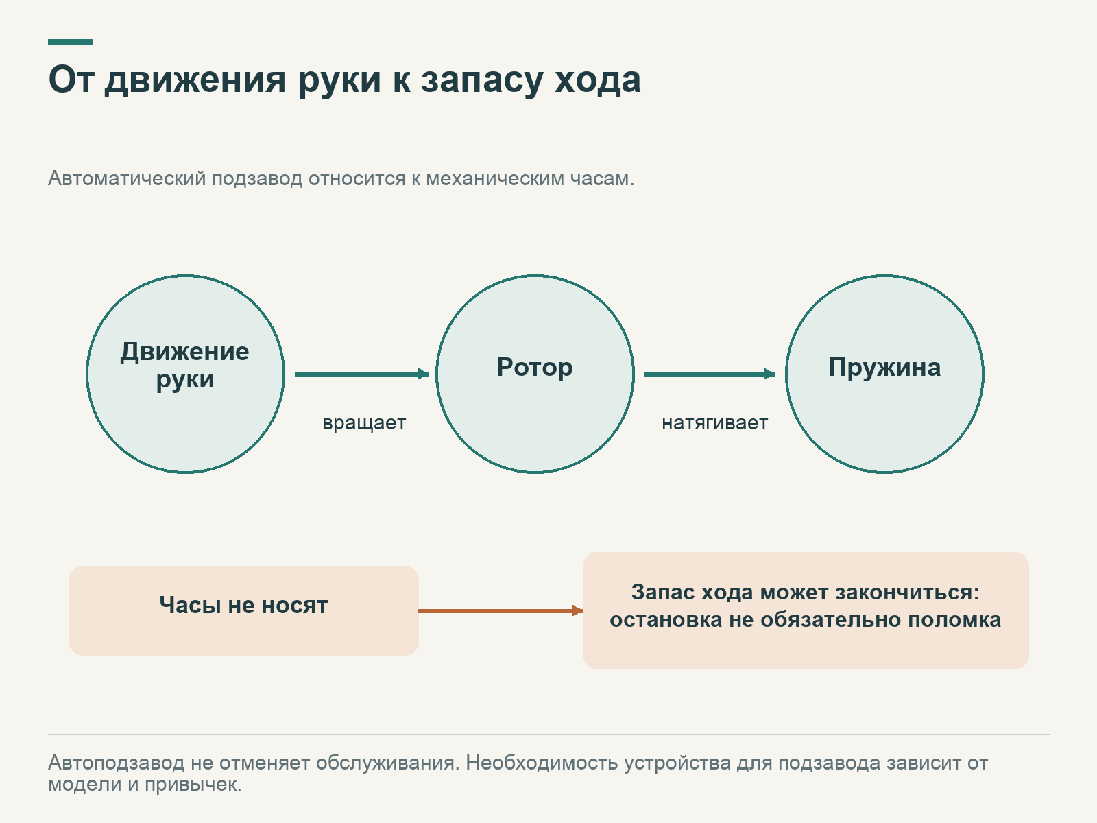 Схема автоподзавода часов: движение руки приводит ротор, который натягивает пружину; при простое запас хода может закончиться без неисправности.